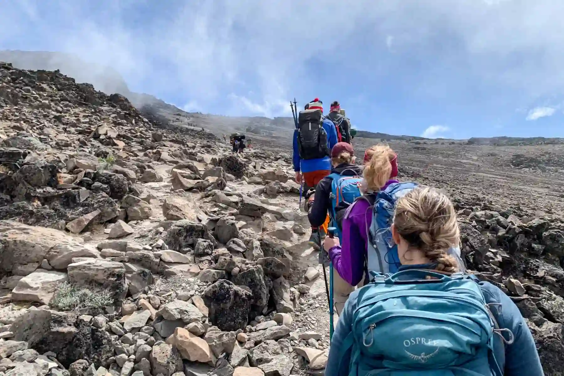 Kilimanjaro 8 Days Lemosho Route