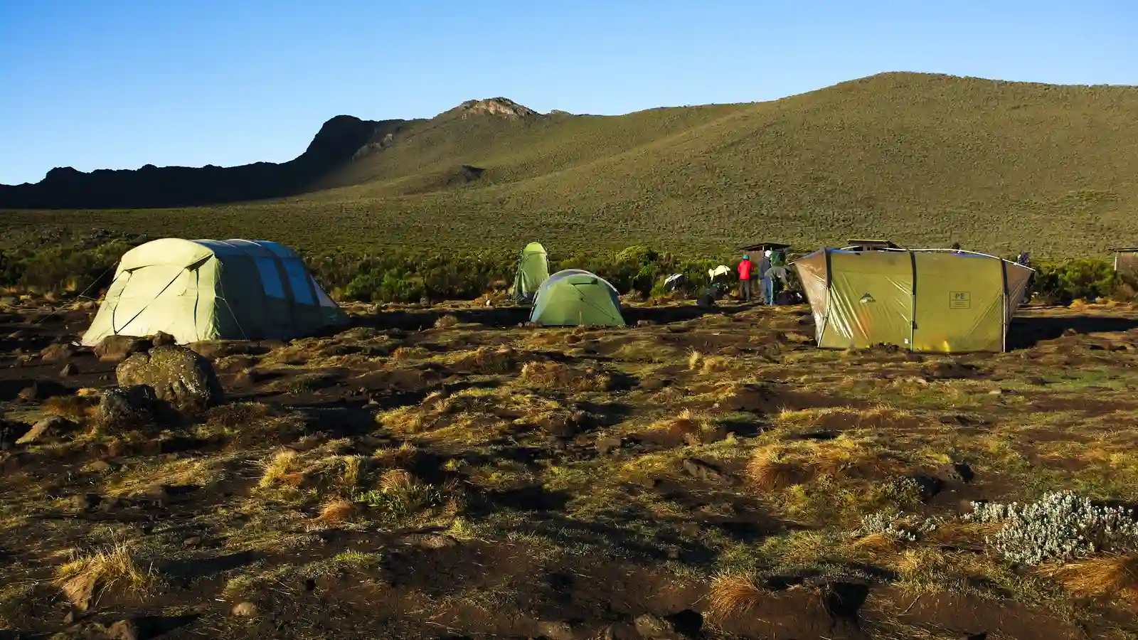 Kilimanjaro, Shira Route