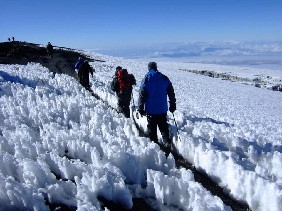 Lemosho route Climbers