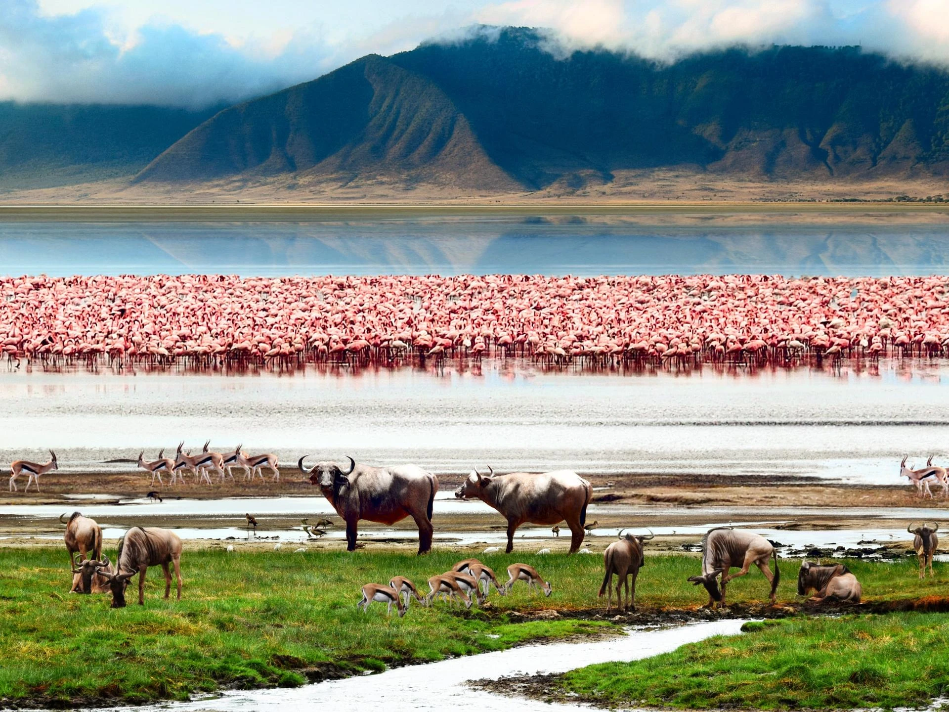 Ngorongoro Crater