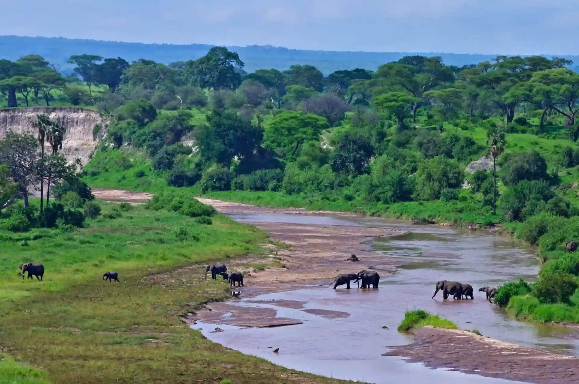 Tarangire National Park a day trip