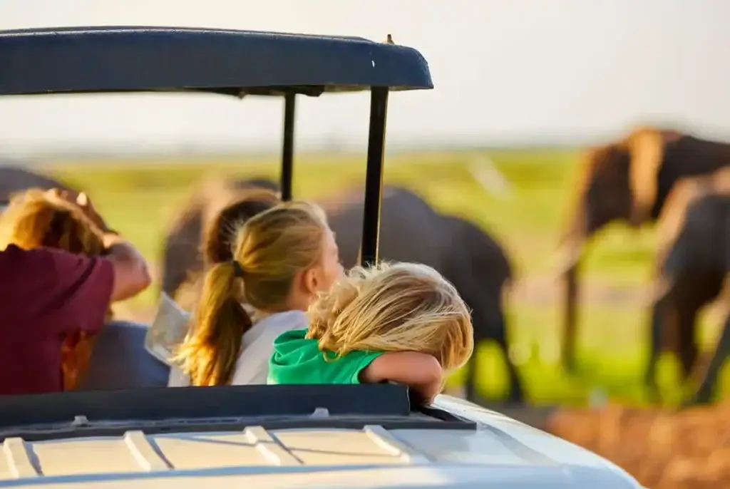 tanzania family safaris experiences