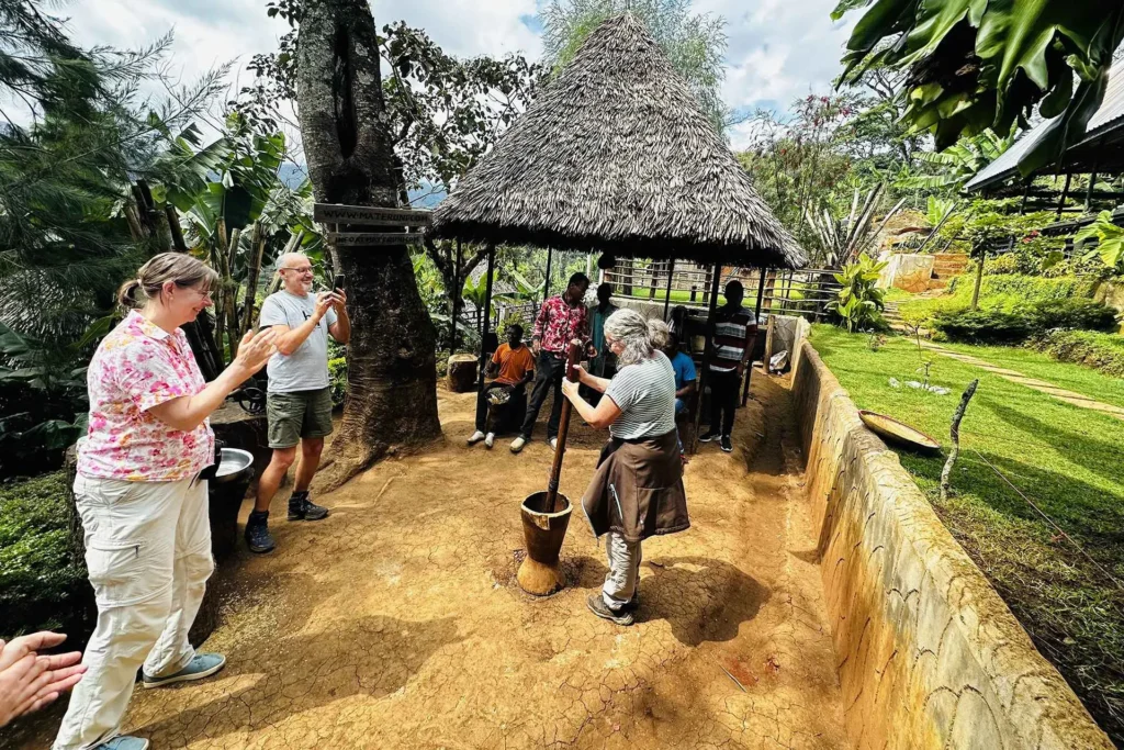 Travelers exploring wildlife on safari and visiting Materuni village and Chemka hot springs in Tanzania.