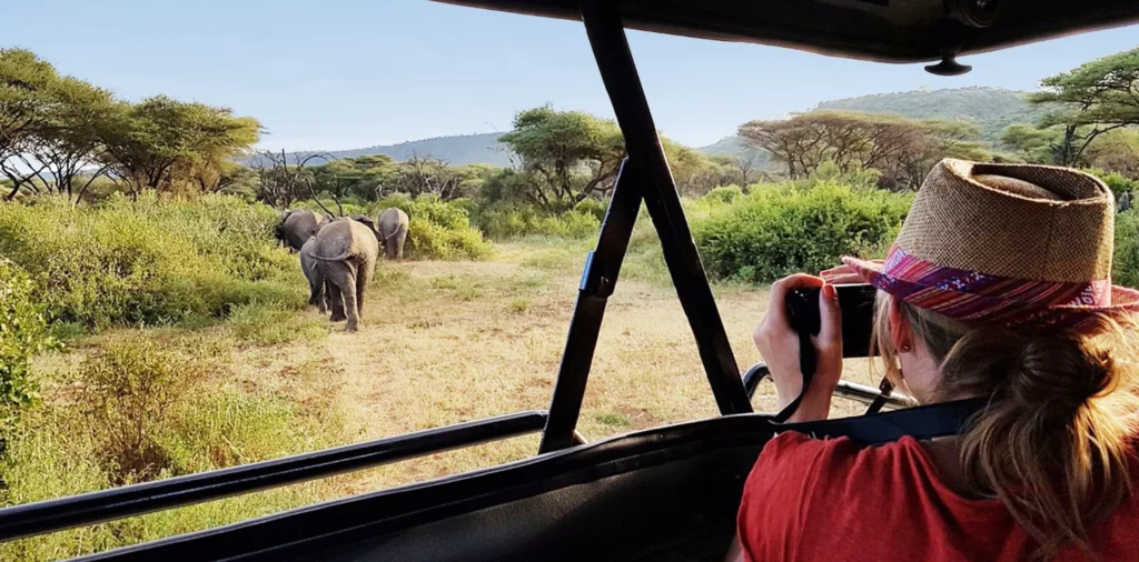 Small safari aircraft flying from Zanzibar to Serengeti for a 3-day luxury wildlife safari experience.