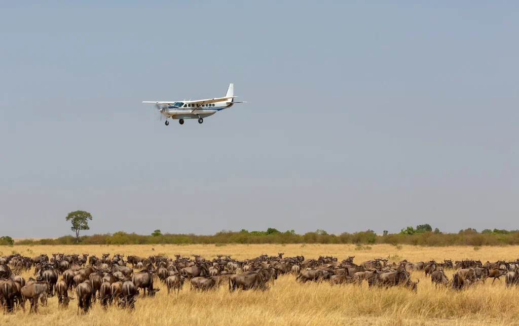 Luxury fly-in safari combining Zanzibar’s beaches with Serengeti wildlife and exclusive game drives in Tanzania.