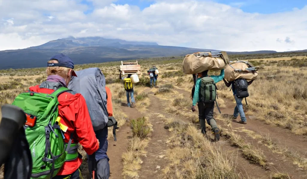 Climbers ascending Mount Kilimanjaro via Marangu Route combined with a Northern Circuit safari in Tanzania.