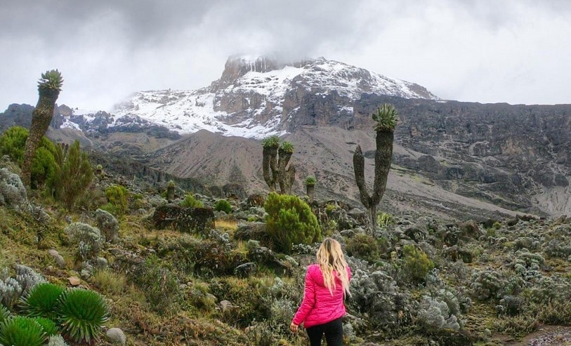 Mount Kilimanjaro trekking combined with Northern Circuit safari featuring wildlife and scenic landscapes in Tanzania.