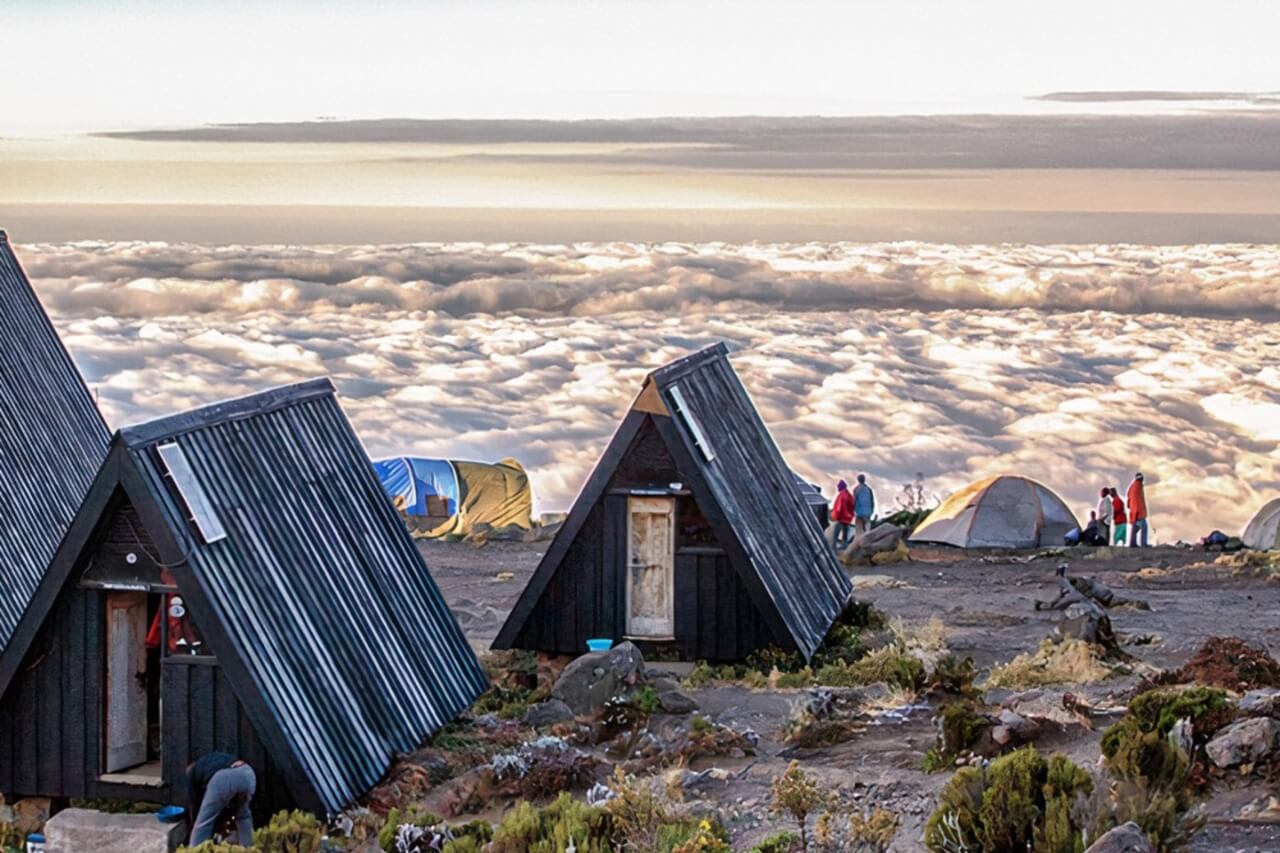 Hikers trekking from Mandara Hut to Horombo Hut on Mount Kilimanjaro through moorland landscapes.