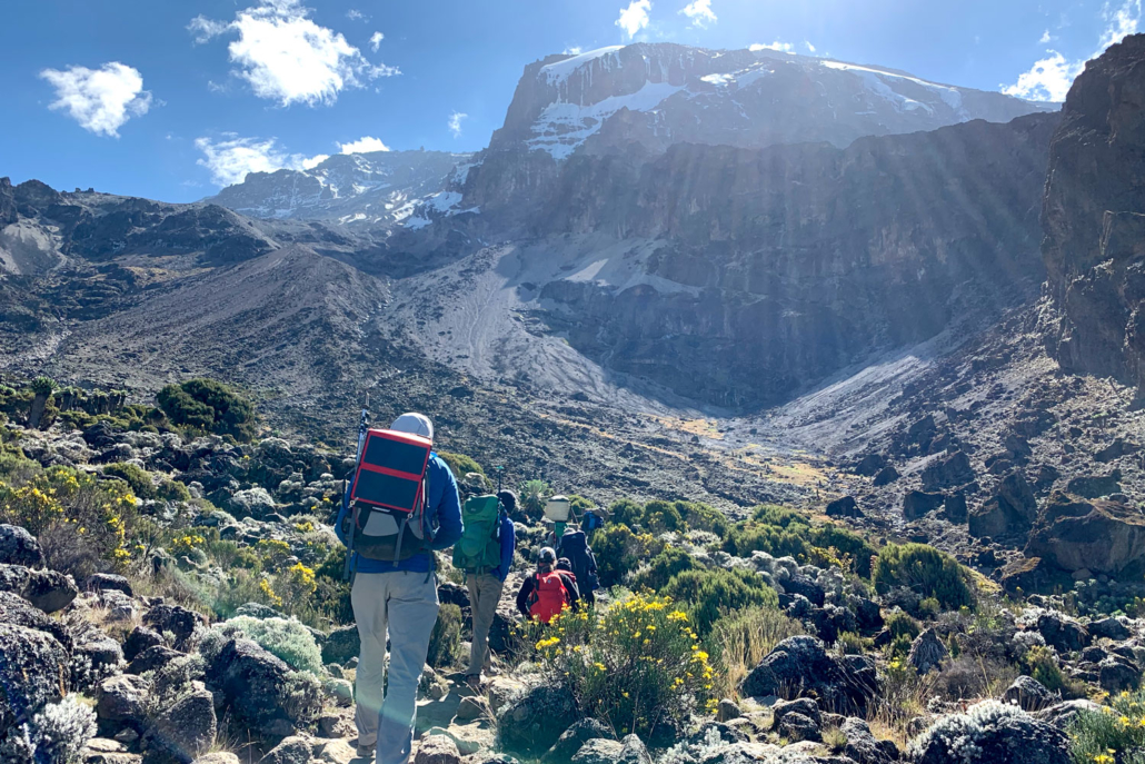 Hikers trekking Mount Kilimanjaro via the Marangu Route through forest and alpine landscapes in Tanzania.